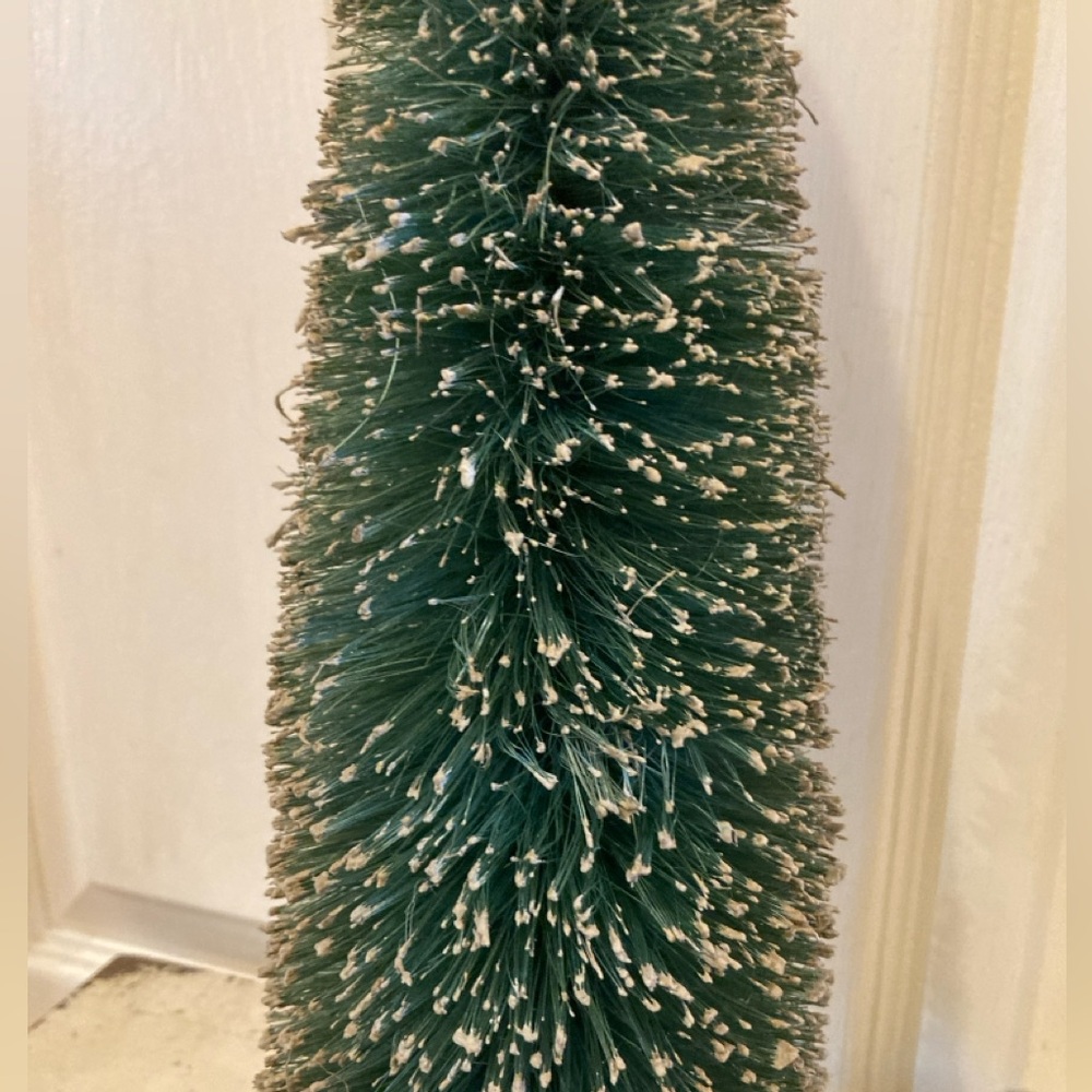 Bottlebrush Tree - Picture 2 of 3